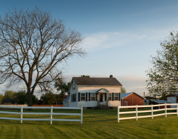 Homesteads 